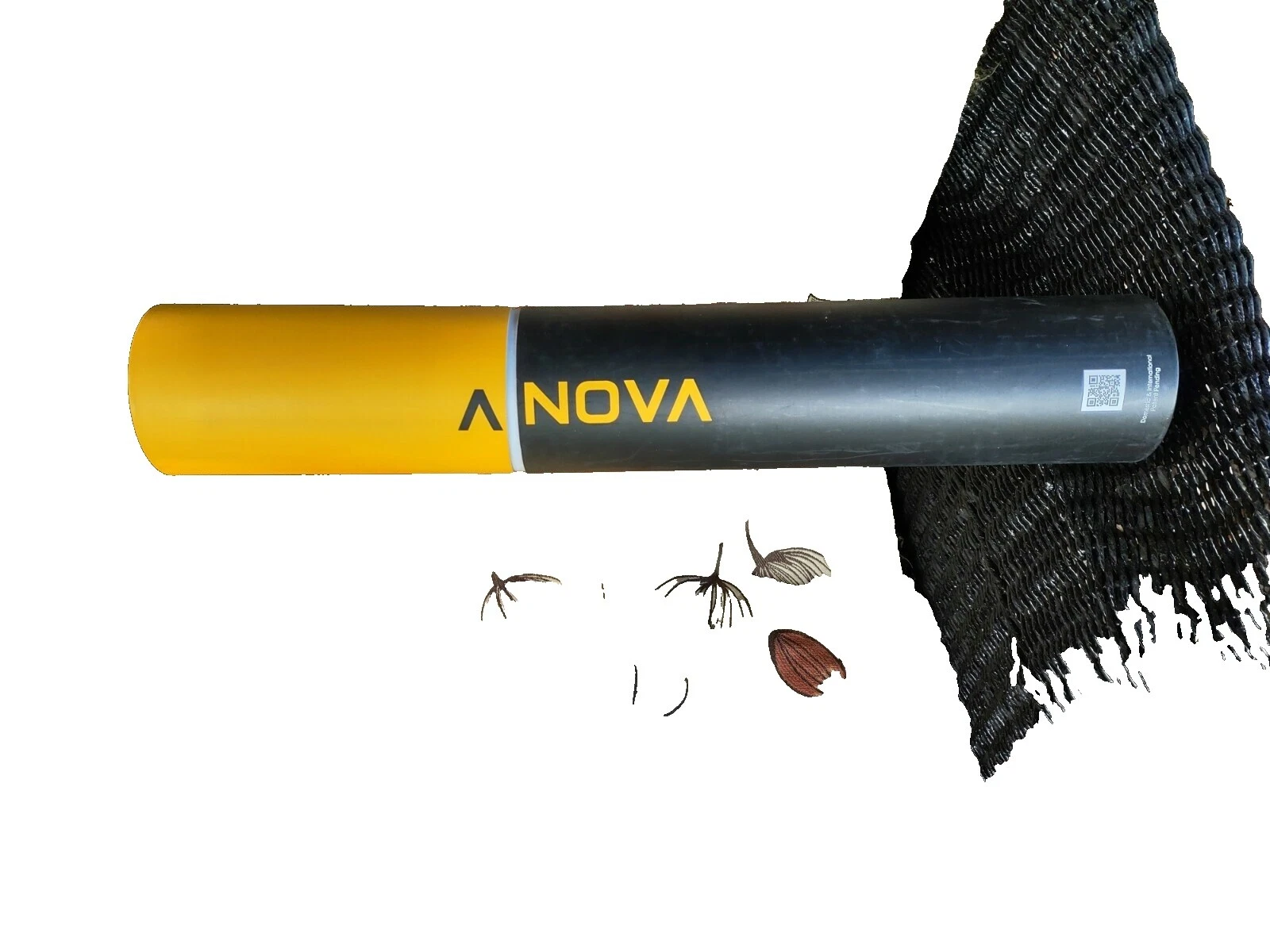 Cocinas lento cocinas Anova Multicolor lento