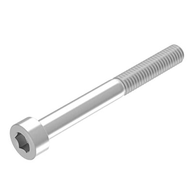 SECCARO Vite A Testa Cilindrica M6 X 55 Mm Acciaio Inox V2A VA A2 DIN seccaro-vite-a-testa-cilindrica-m6-x-55-mm-acciaio-inox-v2a-va-a2-din
