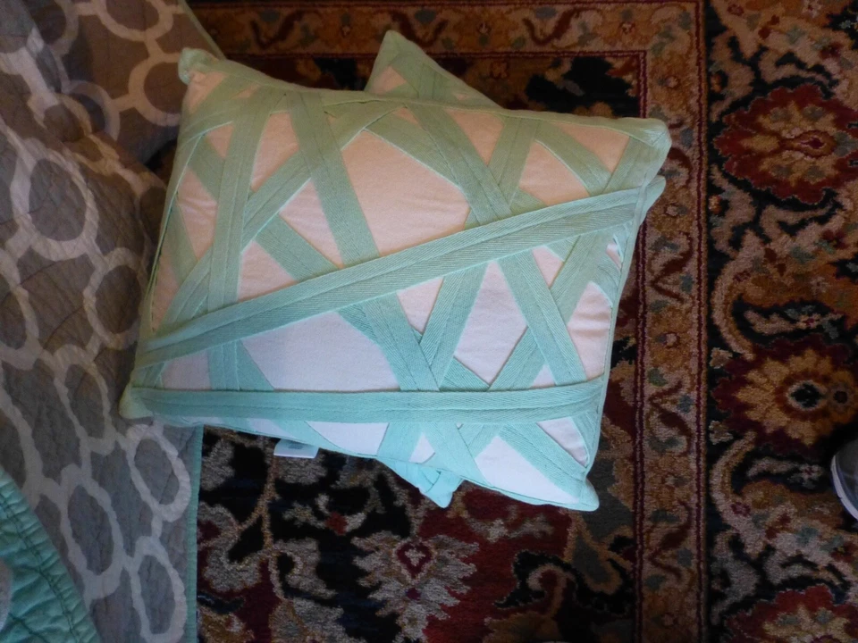 Lote de 2 almohadas decorativas Pottery Barn para adolescentes blancas y verdes suaves 14x19 Foto 2 de 3