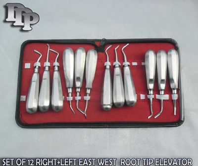 SET OF 12 MIX SURGICAL DENTAL ELEVATOR KIT STAINLESS STEEL ELEVATOR,DDP-0077