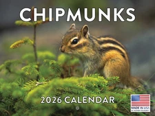 Chipmunk Calendar 2026 Monthly Wall Calender 12 Month
