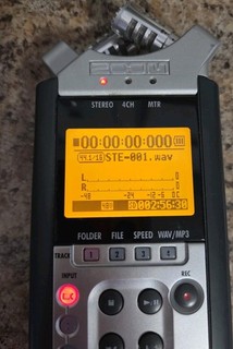 Zoom Handy Recorder H4n Works!