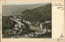 Bad Schlangenbad, Germany View of Town Original Vintage Postcard