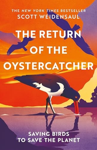 The The Return of the Oystercatcher: Saving by Scott Weidensaul (HB 2026) - Image 9