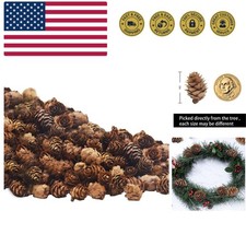150 Pcs Christmas Natural Mini Pine Cones- 2CM Thanksgiving Small Pinecones O...