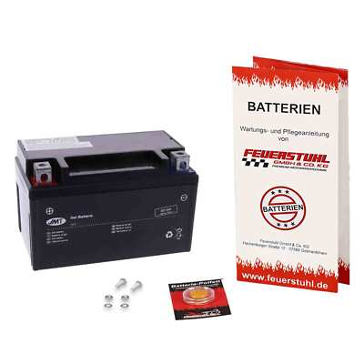 Batterie GEL Ecobike BT49QT-20B3 Diablo, 2009-2010, wartungsfrei inkl 7,50 Pfand