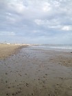 42 Natural Pacific Ocean Beach Stones Rocks Hand Picked from California Beaches — photo 9