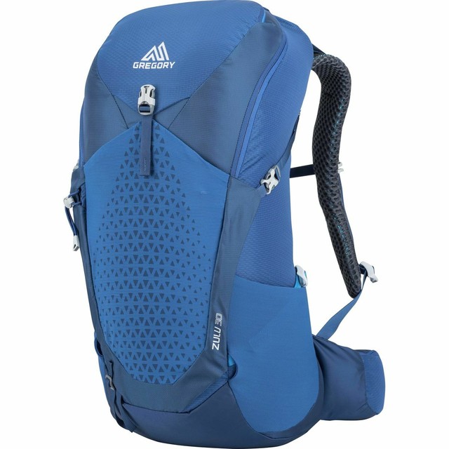 gregory backpack online