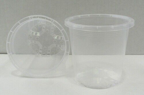 90mm Clear Round Plastic Garden Pot x 50pc Slimline - Great for Orchids Seedling - Picture 1 of 2