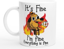 Meme Lover&rsquo;s Mug &ndash; &ldquo;Everything Is Fine&rdquo; Funny Cup for Daily Chaos Survival