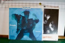 NONA HENDRYX  FEMALE  TROUBLE  NEAR.  MINT   HIP HOP / RAP   LP