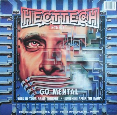 Go Mental - Died In Your Arms Tonight / Sunshine After The Rain, 12'', (Vinyl)