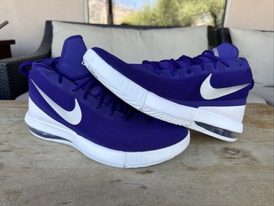 Nike Men's Air Max Dominate TB Basketball Sneaker Shoes Purple / White Size 17