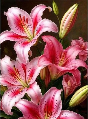 5D Diamond Painting Kits for Adults - Lily Flower DIY Art Kit for Beginners