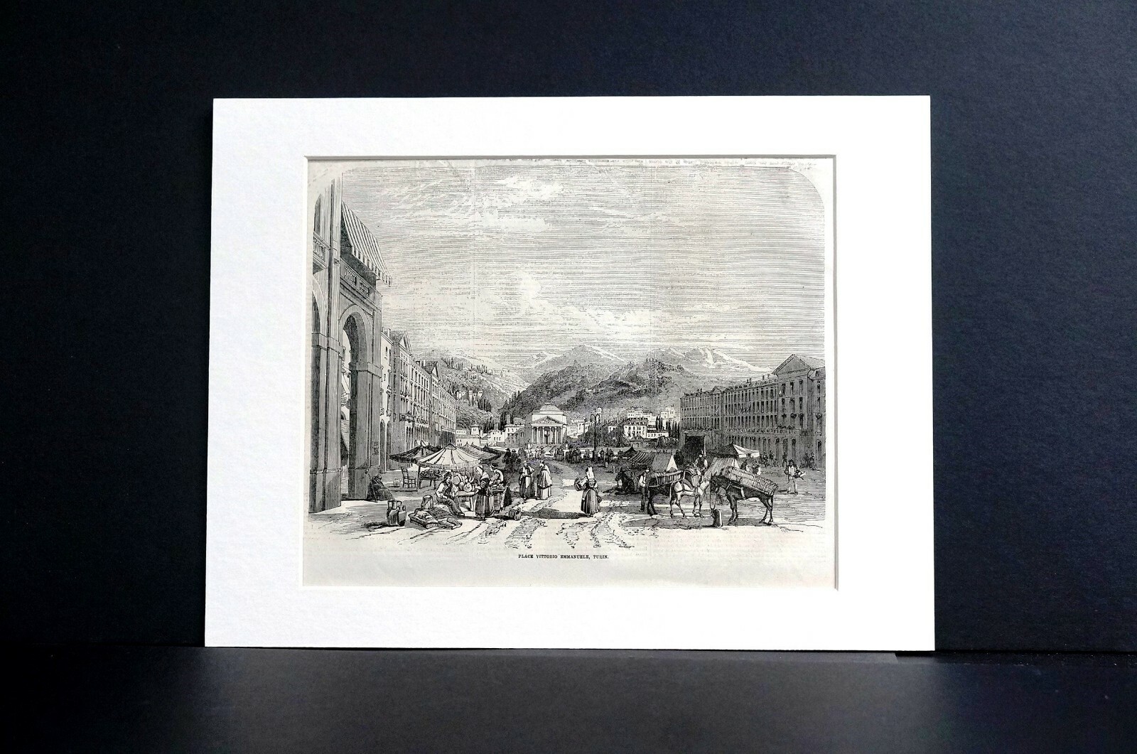 Picture 10 of 10