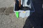 Picture 5 of 6