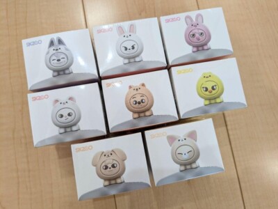 Stray Kids Skzoo 5-Star Dome Tour 2023 Seoul Special Mini Figur 8 Typen Set