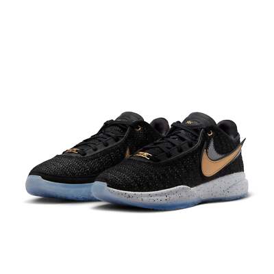 DJ5423-003] Mens Nike LEBRON XX | eBay