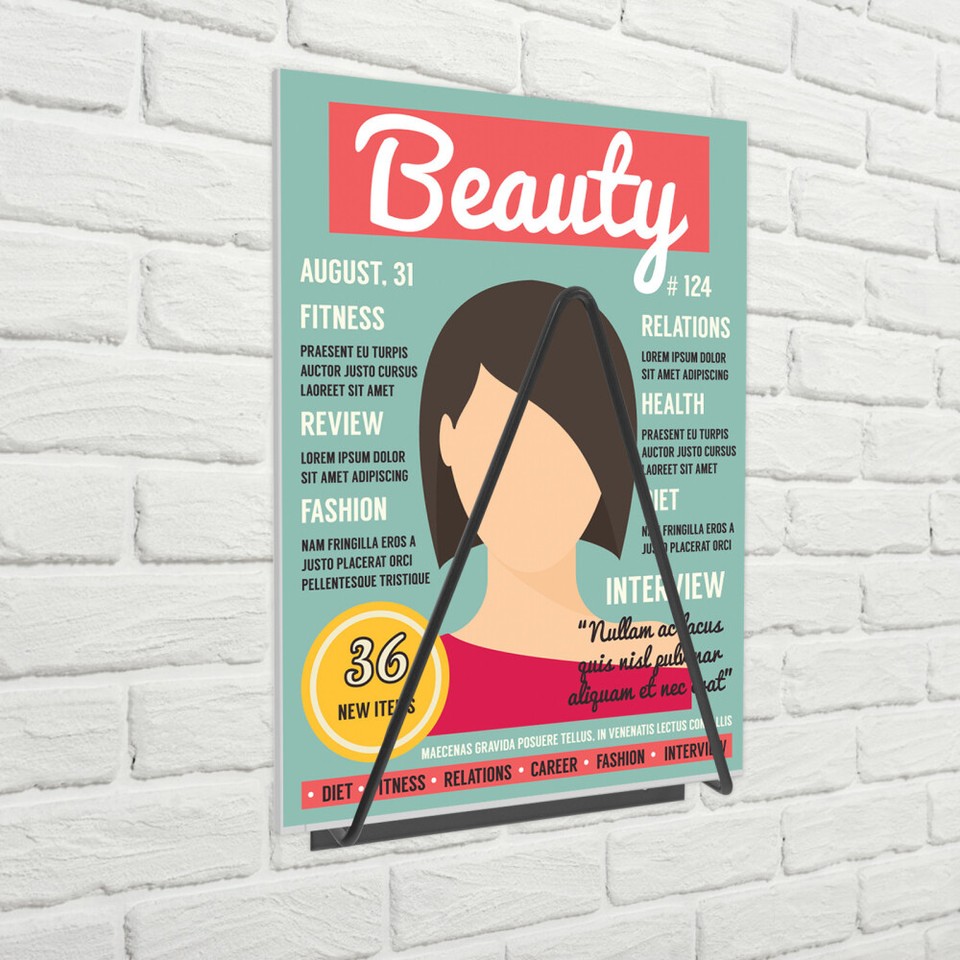 Vinyl Wall Mount Hanging Magazine Display Rack Record Mounted