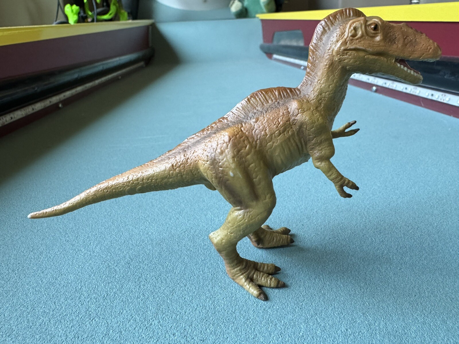 Picture 5 of 9