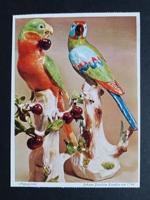 Meissen Kändler Porcelain Parrots Postcard Zwinger Dresden c1740 Art
