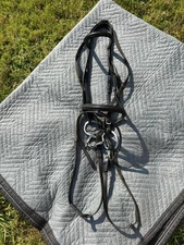 Black Dressage Bridle with Flash Noseband, full size