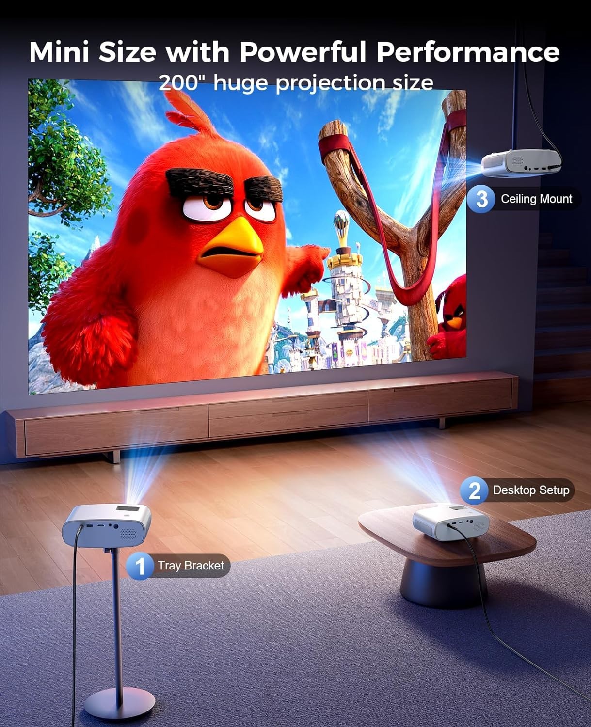 Slide 8