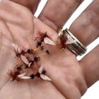 6 Pc Royal Coachman Sizes #12 and 14 Dry Fly Fishing Flies Trout, Bluegill B4-01 — photo 5