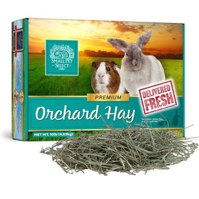 Orchard Grass Hay Pet Food for Rabbits, Guinea Pigs, Chinchillas and Other Sm...