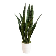 Nearly Natural 2ft UV Resistant Sansevieria Plant in White Planter in Green