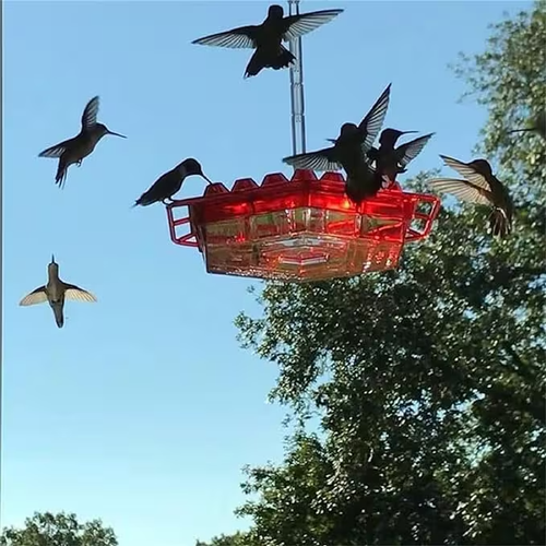 Hummingbird Feeders for Outdoors Bee Proof (Red) / Free Shipping