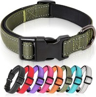 Hundehalsband Nylon Reflektierend Neopren Gepolstert 26-38Cm GrüN FüR Hunde