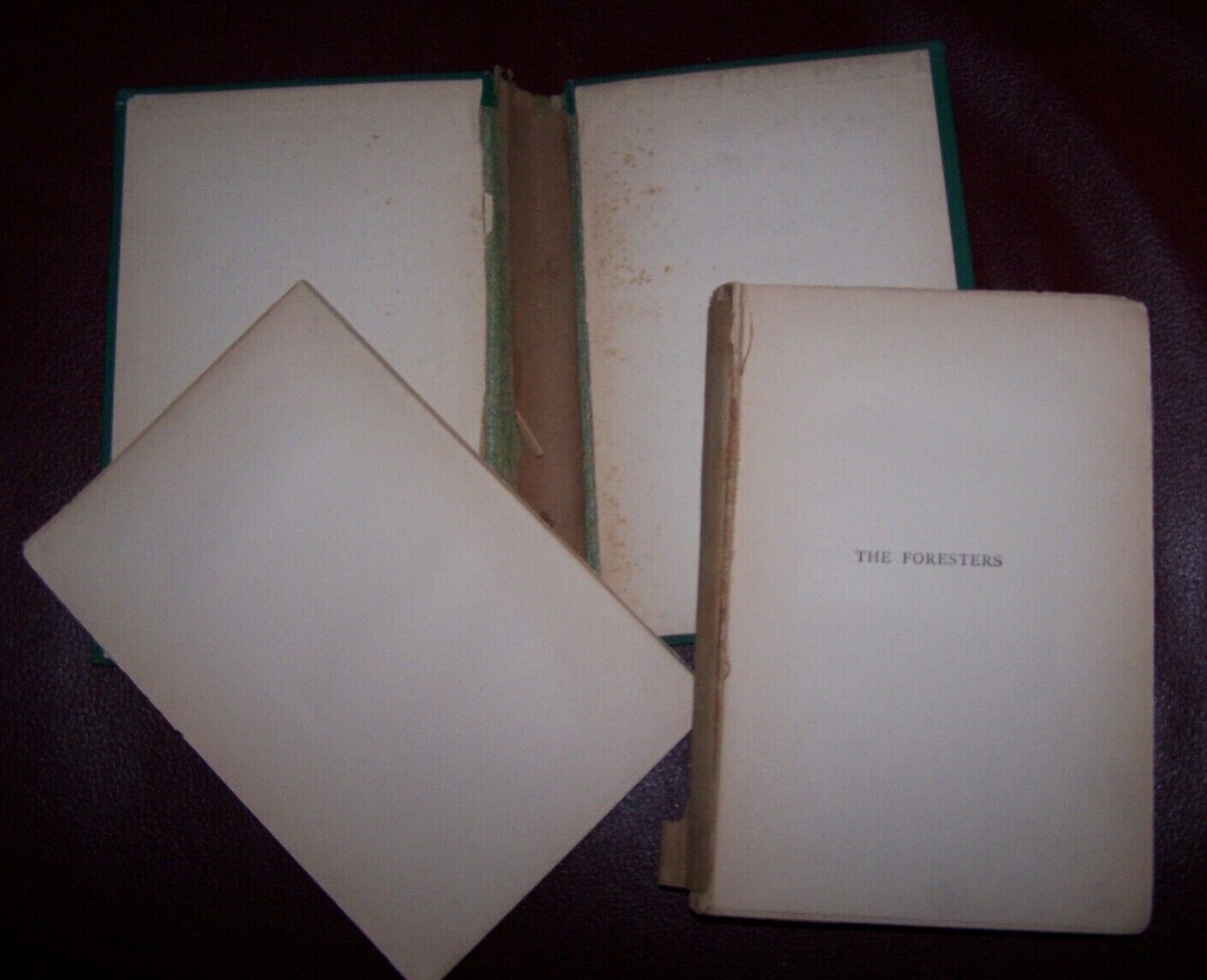 THE FORESTERS / ROBIN HOOD & MAID MARIAN Tennyson HC 1892 Fair