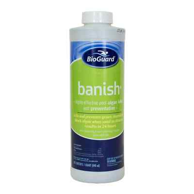BioGuard Banish 23500BIO   Fast-Acting Algaecide 1 Quart