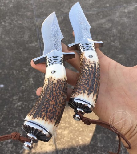 Cuchillo de caza para acampar al aire libre de supervivencia Damasco asta de ... - Imagen 8 de 12