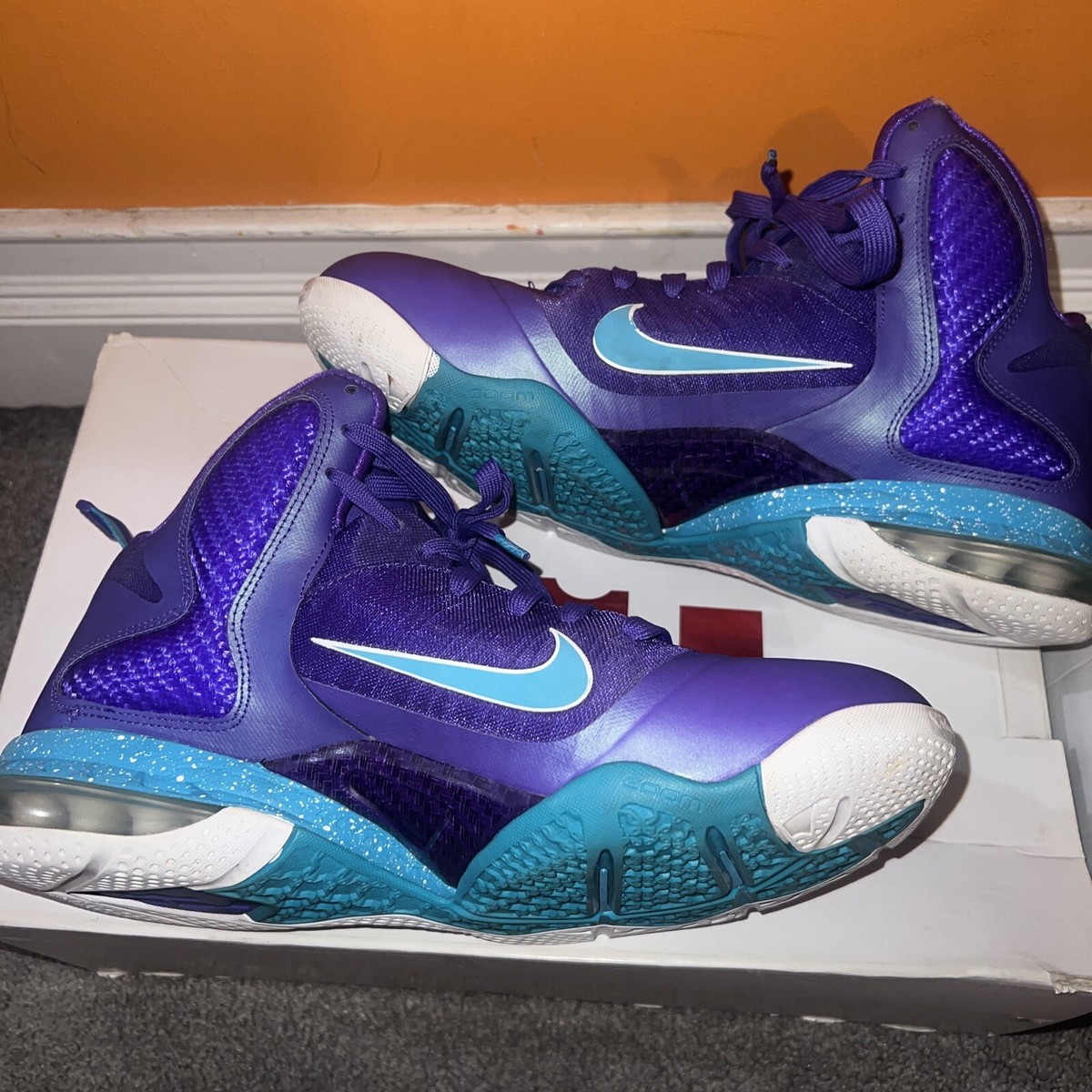 lebron 9 hornets on feet
