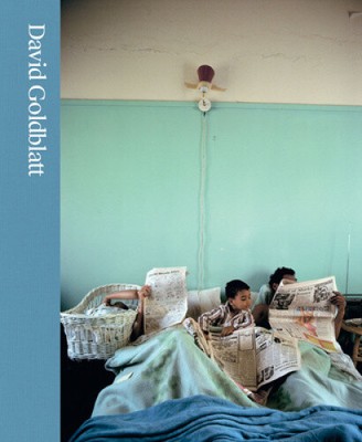 David Goldblatt: No Ulterior Motive by Judy Ditner