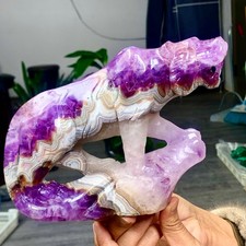 2.9LB Natural Amethyst Agate symbiosis Quartz Crystal energy Hand carved tiger
