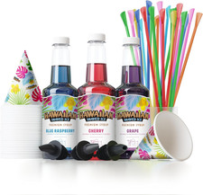 Syrup Assortment with 3 - 16Oz Bottles, 25 Snow Cone Cups, 25 Spoon Straws, and
