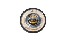 Thermostat Seat ALTEA