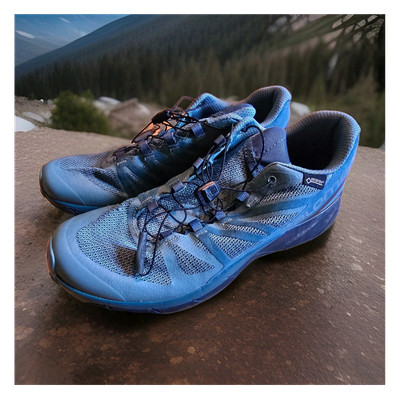 Salomon Ortholite Gore-Tex Hiking Shoes Blue Gray US Size 10 Medium 404942