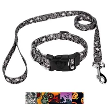 Country Brook Petz® Deluxe Collar and Leash - Halloween Collection
