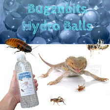 Bugznbits Hydro Balls, Bug Gel Alternative, Grillen Kakerlake Heuschrecken Futterautomat