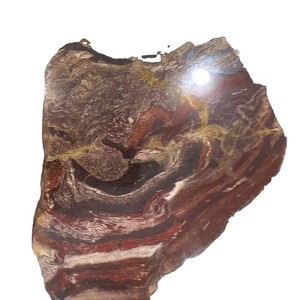 Polished Red & Brown Banded Snakeskin Jasper Lapidary Slab Slice Stone Specimen
