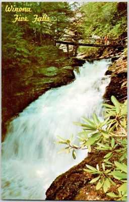 Winona Five Falls Pocono Mountains Pennsylvania Waterfall Cascade VTG Postcard