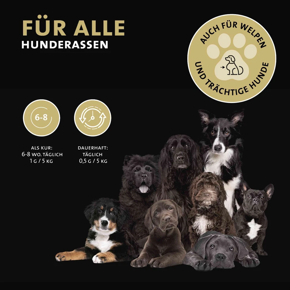 Peticare Hunde Präbiotika & Probiotika | natürliche Futterergänzung | 125 gr - Bild 3 von 4
