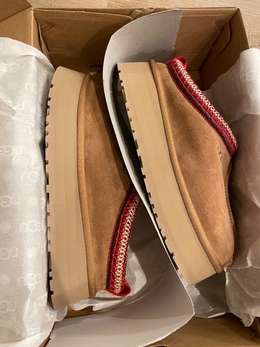 chestnut tazz mule