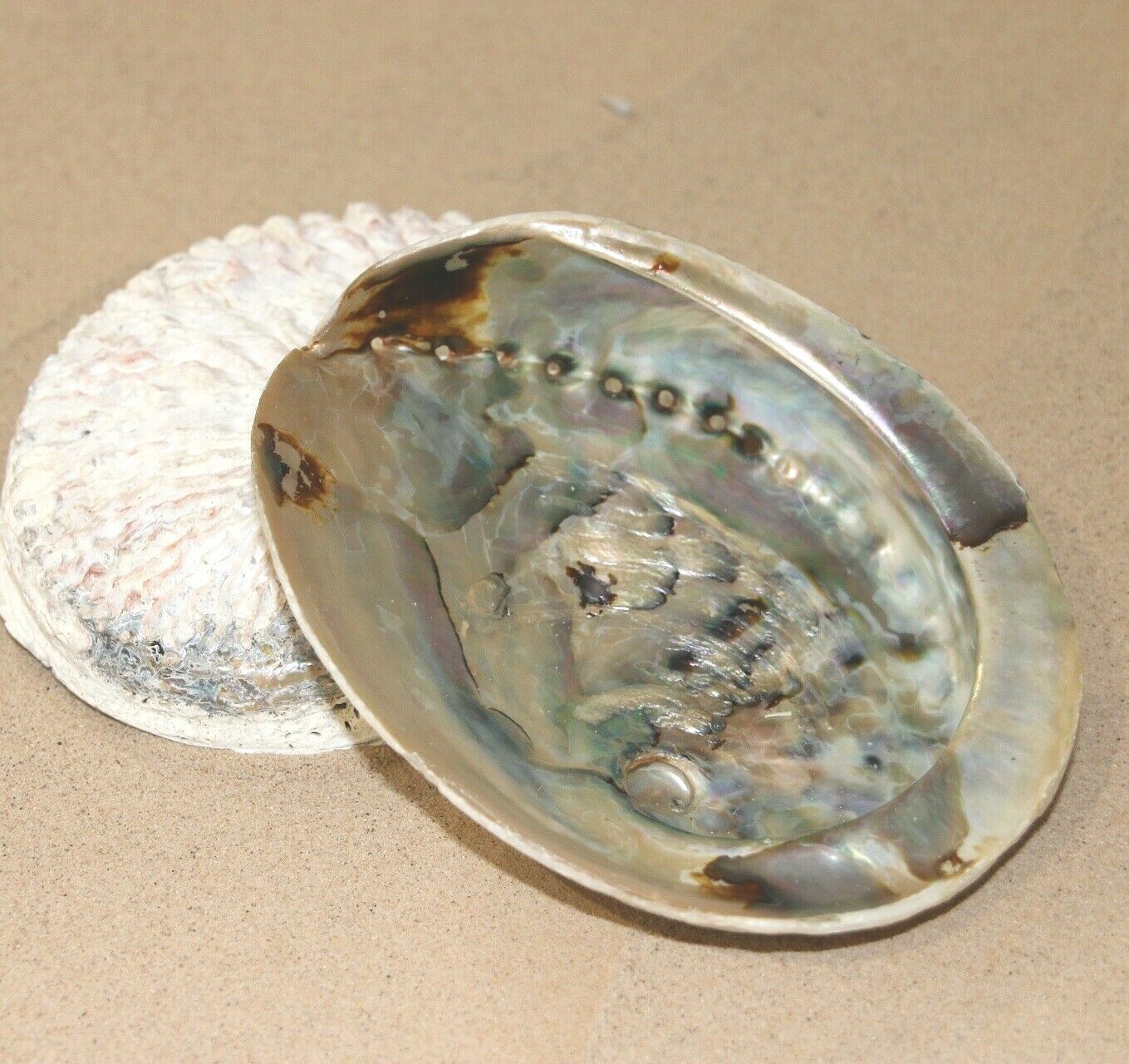 Picture 4 of 6