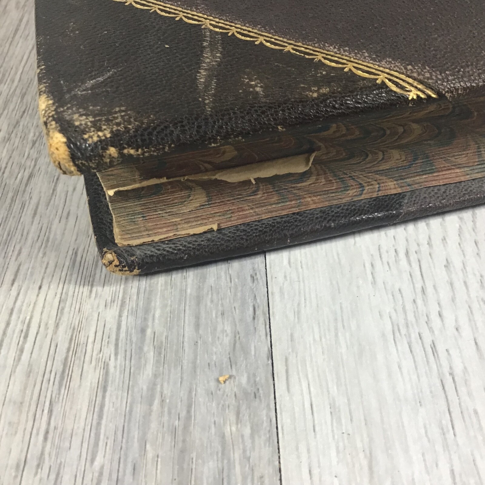 Picture 20 of 24