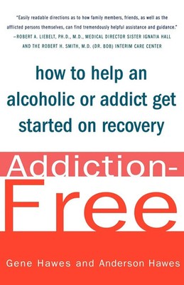 Addiction-Free How to Help an Alcoholic or Addict Get Started on Recovery Buch